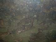 CIMG1294